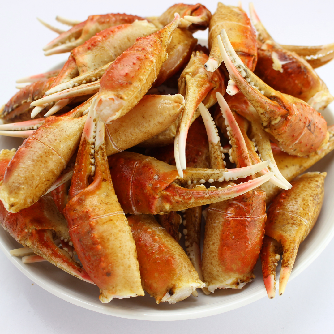 Snow Crab Claw