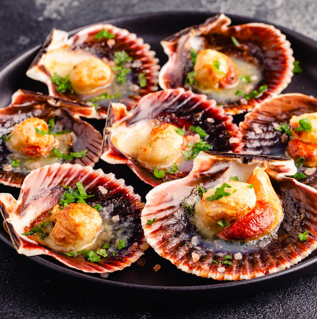 Coquille St Jacques - Pre-Cooked