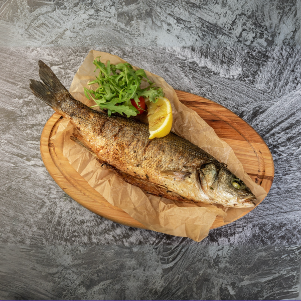 Branzino europeo salvaje / Loup de Mer / Lubina