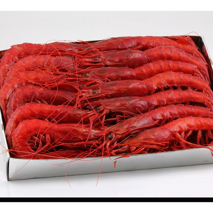 Spanish Red Carabineros Jumbo Prawns