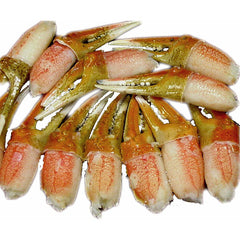 Pinzas de cangrejo de las nieves