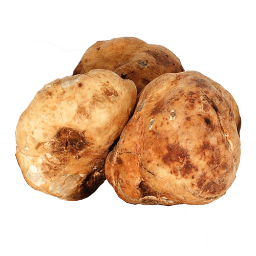白色夏季 Bianchetto 松露 (Tuber albidum pico)